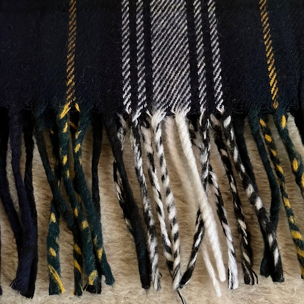 Christian Dior Monsieur Plaid Scarf - Picture 3 of 10